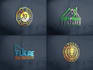 do modern, professional business logo design with copyrights
