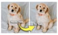professionally unblur your pictures