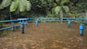 film real rain video with original sound up to 10 hour