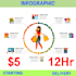 create professional infographic design in 12 hours