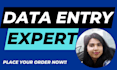 be virtual assistant for data entry, copy paste and retyping PDF tasks
