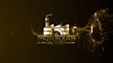 do luxury gold logo reveal animation
