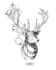 hand drawing custom tattoo designs