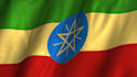 translate tigrinya and amharic to english and vice versa