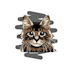 draw pet into awesome cute cartoon