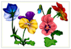 create hand drawn clean vector flowers