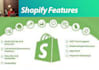 redesign copy duplicate shopify  converting SEO store