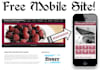 make you a professional 5 page HTML website