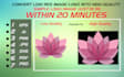 convert raster to vector logo with transparent background in 20 minutes