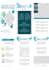 design flyer and brochures with creative skills