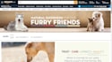 design professional amazon storefront and brand store