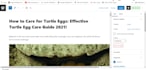 do SEO on page or technical optimization for wordpress