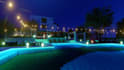 design your landscape and vegetation