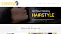 build a responsive website and web application from scratch