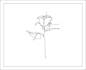 create your plants and flower in line art illustration