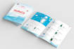 design a professional brochure or catalog