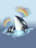 draw any animal or pet