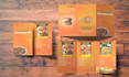 design a modern business brochure, company profile, or marketing catalog