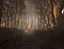 create a level or environment design on unreal engine 5