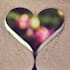 give powerful truth love and relationship reading