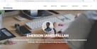 design and develop attractive responsive website