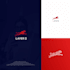design modern logo for integrated software company