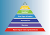 create a top quality professional infographic design