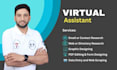 be your professional virtual assistant