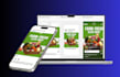 setup and manage your facebook ads campaign