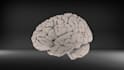 create medical 3d model from dicom, ct or mri images