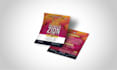 design a perfect professional business flyer, brochure, cataloue