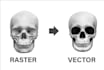 draw realistic vector object illustration or product design