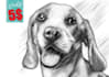amazing sketch your pet with my style and high file quality