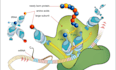 assist you with biology, ecology, fisheries, cell and molecular biology