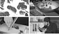 drawing storyboard, illustrations for commercials and ads