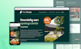 design, clone, and develop wordpress website using elementor