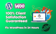 fix wordpress website, fix wordpress error and wordpress bug fix within 24 hours