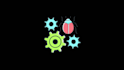write javascript, html, css, php, jquery code for you