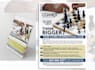 design professional  flyers within 24 hours