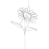 design one line drawing illustrations