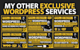customize your wordpress premium theme professionally