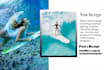 create attractive social media posts with canva