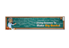design best web header for you