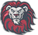 do perfect embroidery digitizing into dst