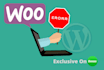 fix any woocommerce and wordpress errors or bugs