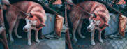 do photoshop editing and fashion retouching