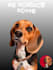 draw your pet photo into amazing cartoon portrait