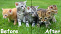 upscale, enlarge, and sharpen low resolution images