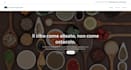 build a professional wix website