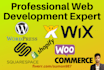do design and redesign wix website